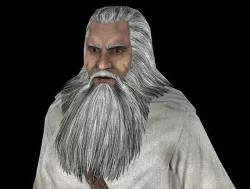 Fantasy Wizzard Low-poly  3D model