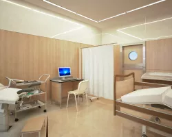 Ginecological ward 3D model
