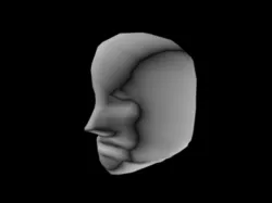 Human Model