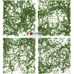Ivy Wall 4 models 3D model