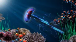 Jellyfish 3d Low-poly  3D model