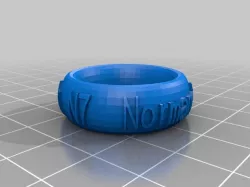 Larson Normandy Text