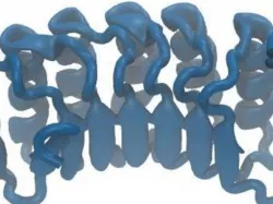 Leucine-Rich Repeat Domain from NLRP1
