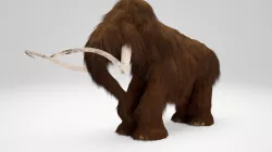 Mammoth 3D model