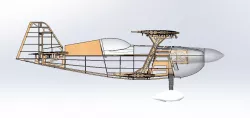 Modell Plane Wolf Pitts Pro
