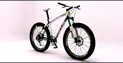 Mountain bike 3D model