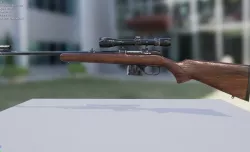 Rifle model CZ572  Animated FPS Hands Included Low-poly  3D model