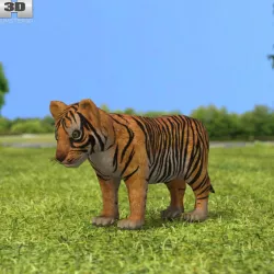  Tiger Cub 3D model