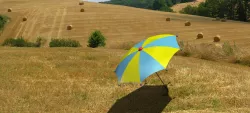 Umbrella