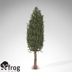 XfrogPlants Asterophyllites 3D model