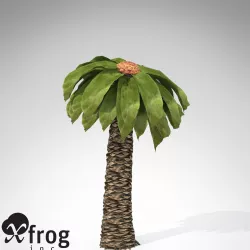 XfrogPlants Bjuvia 3D model
