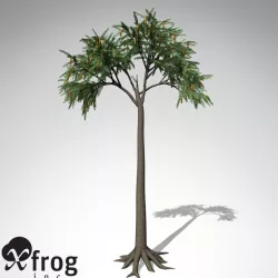 XfrogPlants Lepidodendron 3D model