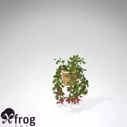 XfrogPlants Mona Lisa 3D model