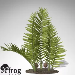 XfrogPlants Nipa 3D model