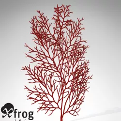 XfrogPlants Red Sea Fan 3D model