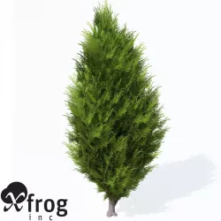 XfrogPlants Savin Juniper 3D model