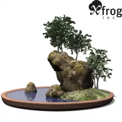 XfrogPlants Smooth leaved Elm - Bonsai 3D model