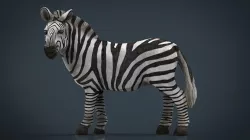 ZEBRA 3D model