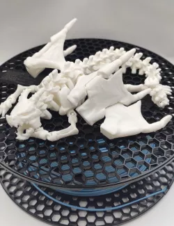 Articulated Skeleton Dragon