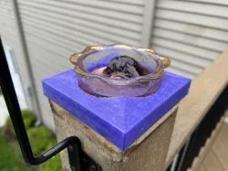 Bird dish feeder deck cap