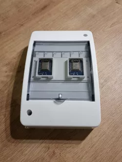 Double Wemos D1 Mini switch cabinet case