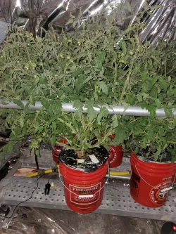 Fire House Subs Bucket Aeroponics Mister