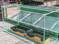 Grow tent