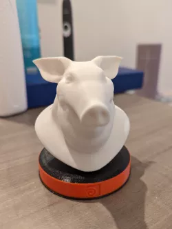 Houdini's Template Pighead Bust