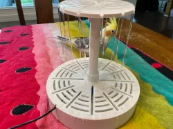 Indoor Pet Bird Fountain