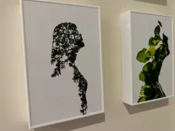 Photo Frame 3D