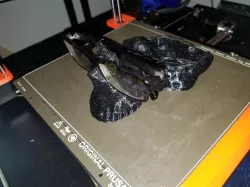 Skull Glasses Holder