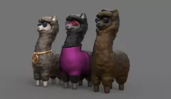 Alpacas