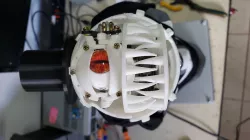 Animatronic Worm