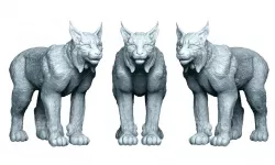 Canadian Lynx