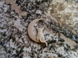 Cat and moon