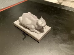 Chonker (my cat)