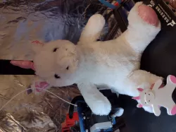 Cute Unicorn Magnet