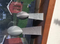 Fantasy Football Trophy