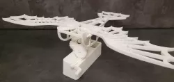 Flying Machine Da Vinci style