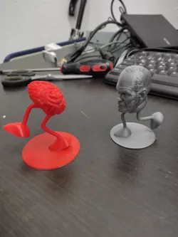 Freud and Brain