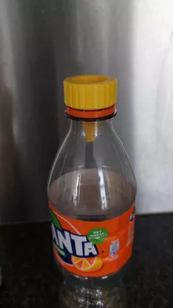 Fruit Fly Trap