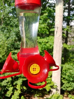 Hummingbird feeder replacement bee guard (old style) Perky Pet