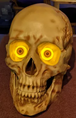 Lighted large Human Skull