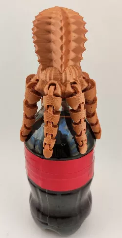 Octo Cactus Bottle Cap