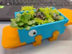 Perry Plant, case,box