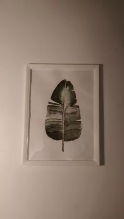 Picture frame