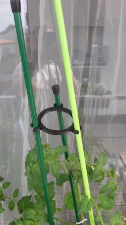 planting holder stick
