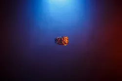 Ring - Vikings 3D Prophecy - Season 4 Episode 18 - Revenge