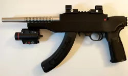 Ruger 10/22 Stock With Rail