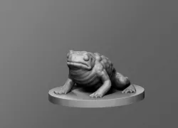 Toad